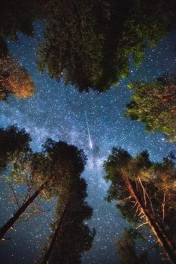 Che dice questo cielo? Marte sta entrando in Acquario… Pare che tutto migliorerà!!!